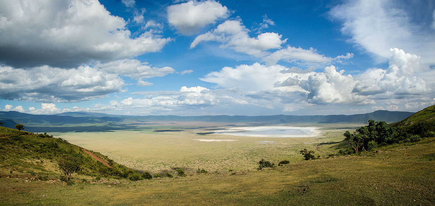 Ecosystem of Ngorongoro Crater 