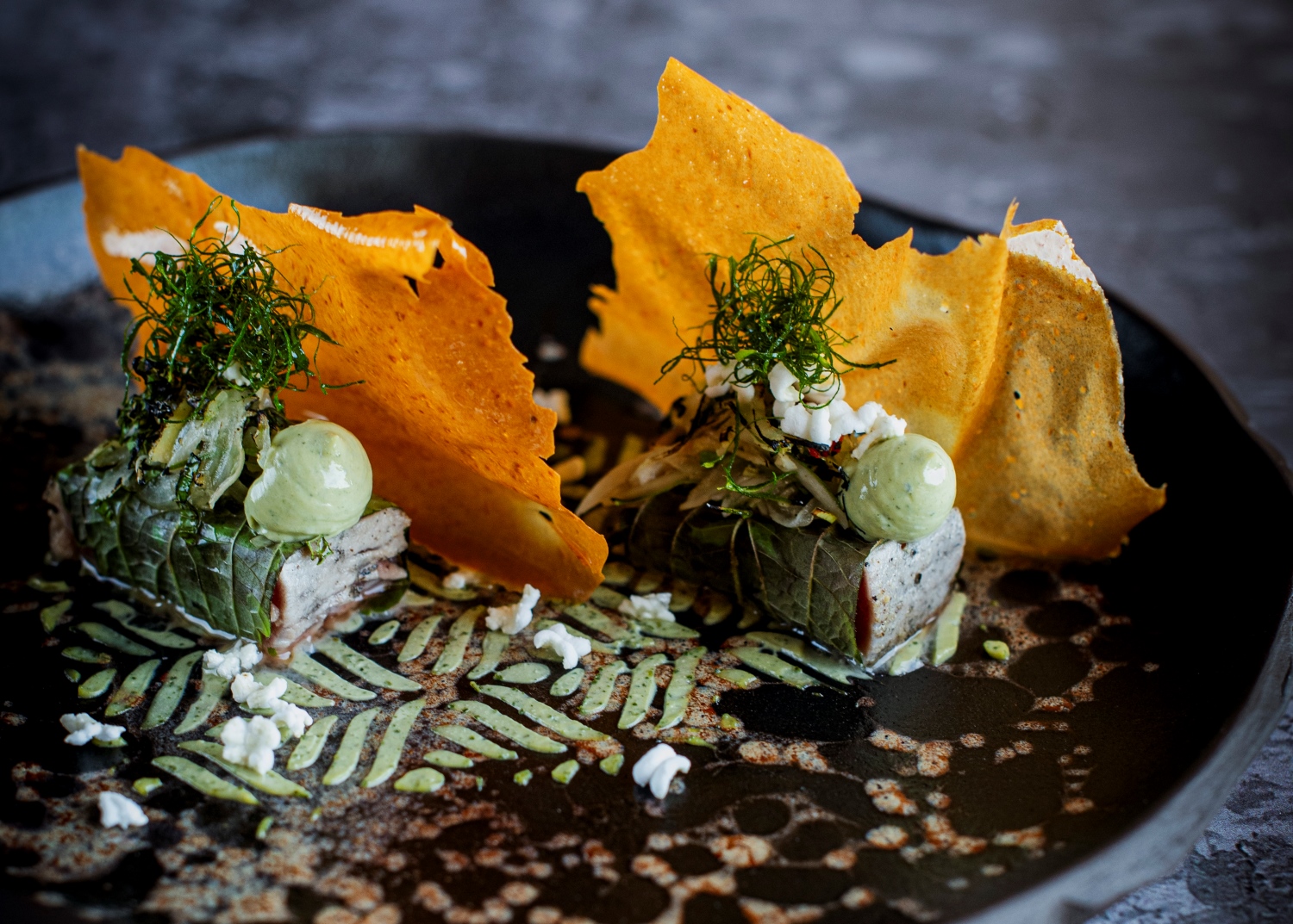 Beau Jan042024 0084 cropped