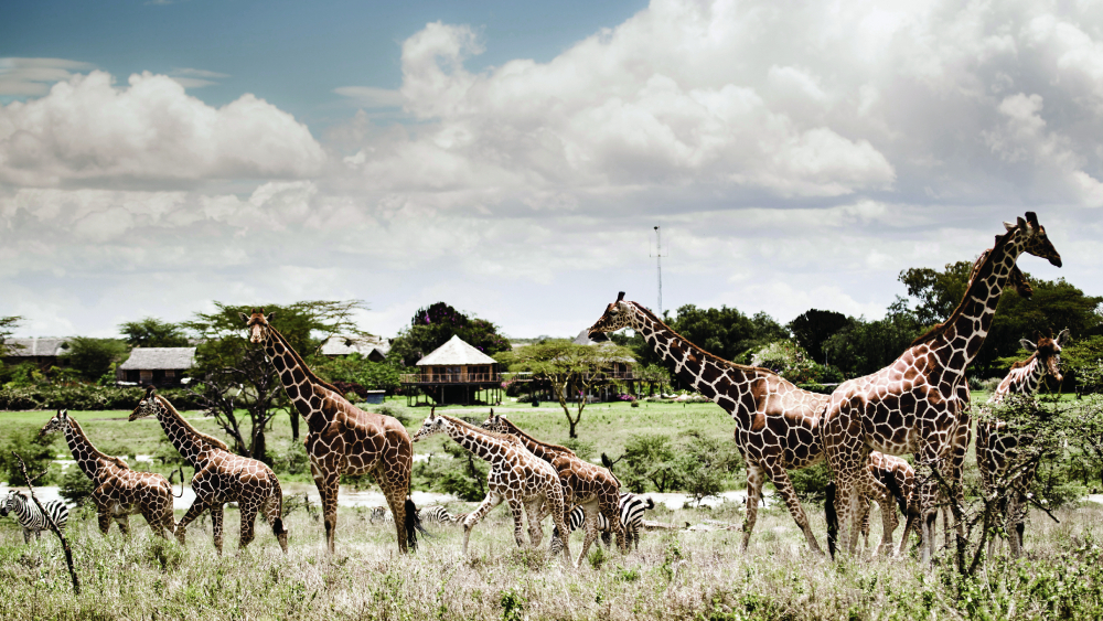 12 RR WorkFromHere-Segera Retreat Lifestyle LaikipiaCountry Kenya WildernessSafarisCrookesandJackson 300dpi