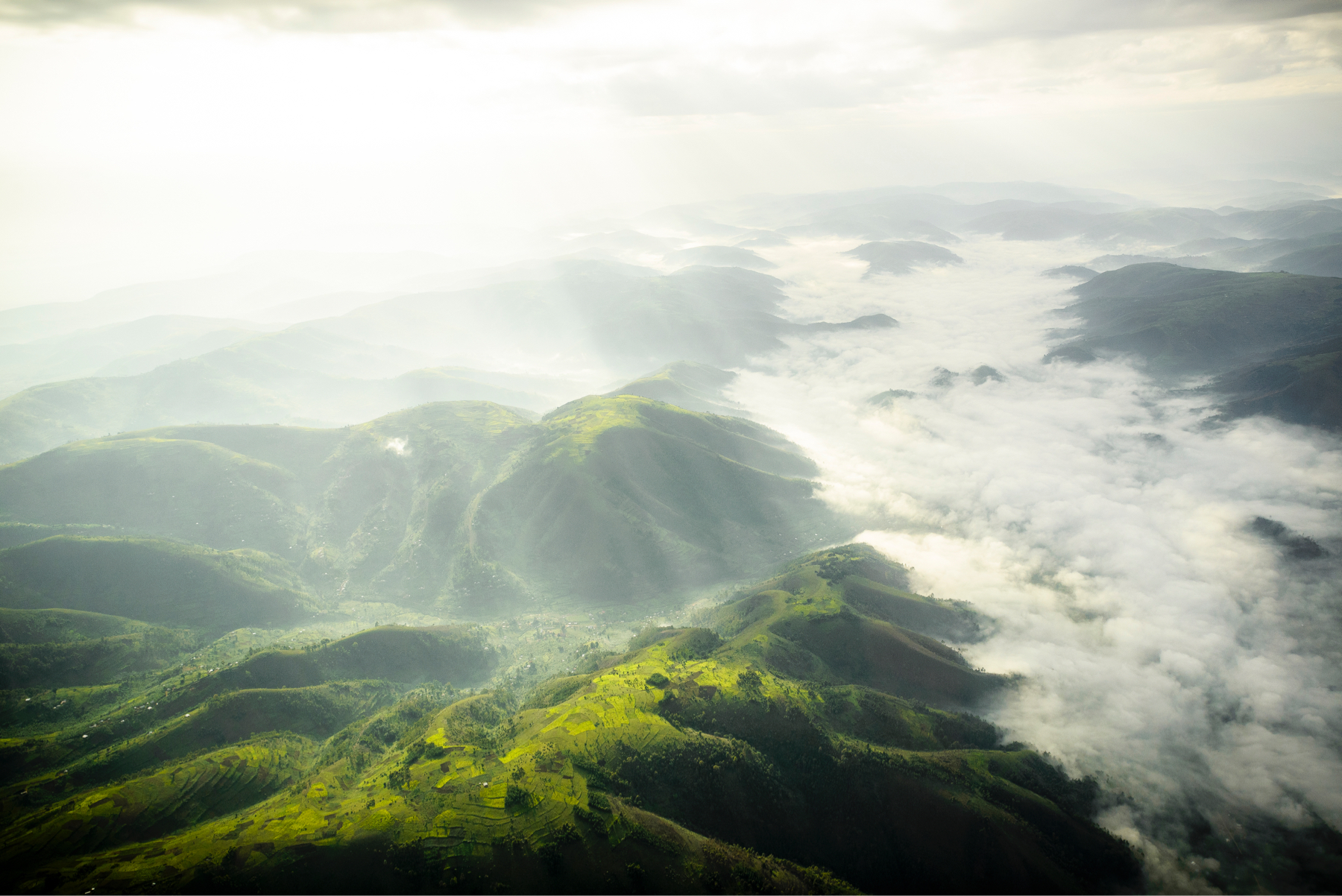 ROAR AFRICA Luxury Destination Uganda Hero