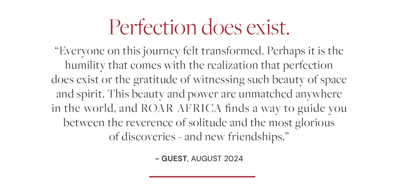 perfection quote