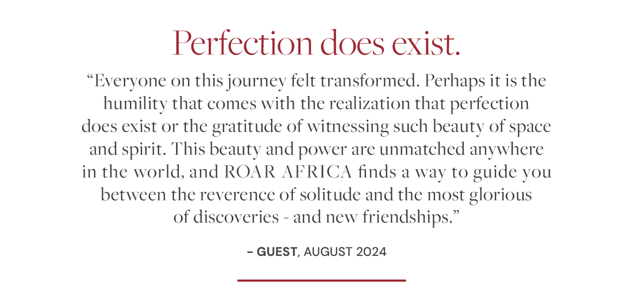 perfection quote