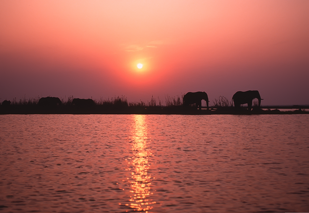 What is Zimbabwe known for? ROAR AFRICA