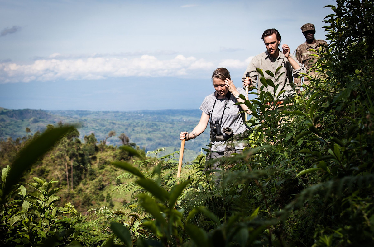 Luxury Uganda Safaris | ROAR AFRICA