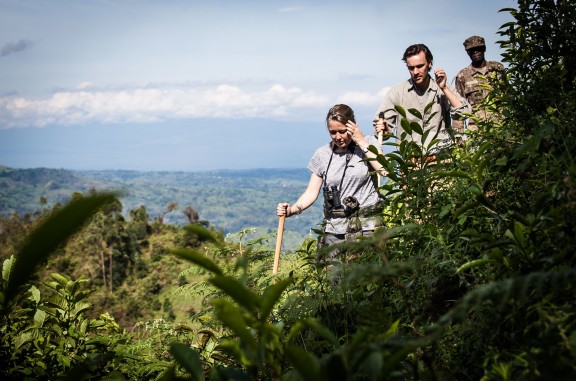 Hikers on Forest Walk on Safari in Uganda - ROAR AFRICA