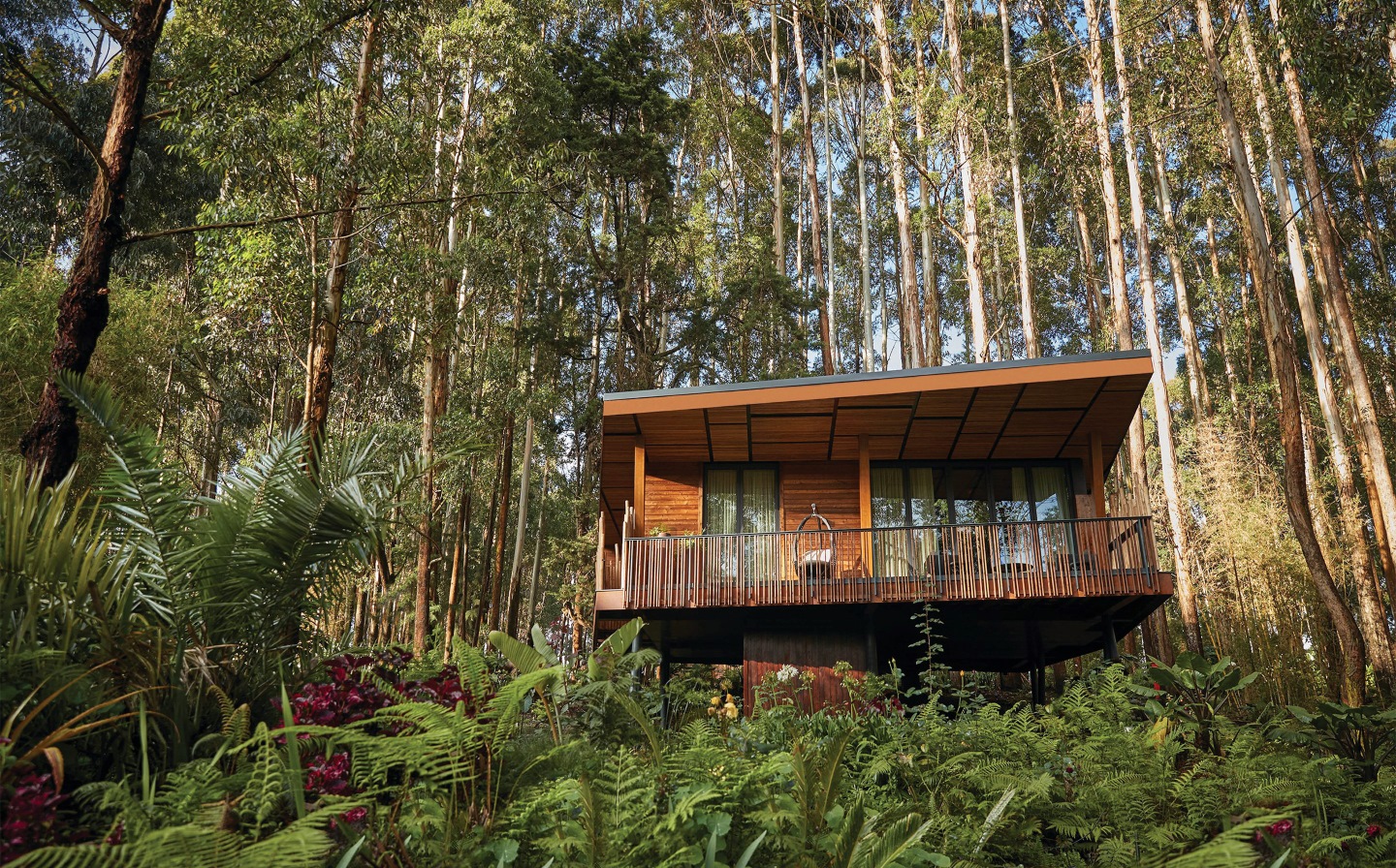 One&Only Gorilla-s Nest Accomodation ForestSuite VolcanoesNationalPark Rwanda OO (1)