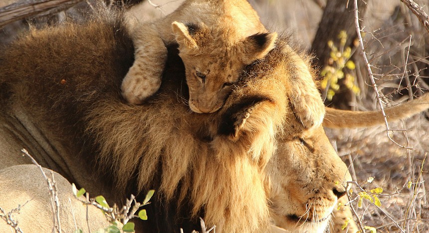 destinations-of-the-world-magazine-dubai