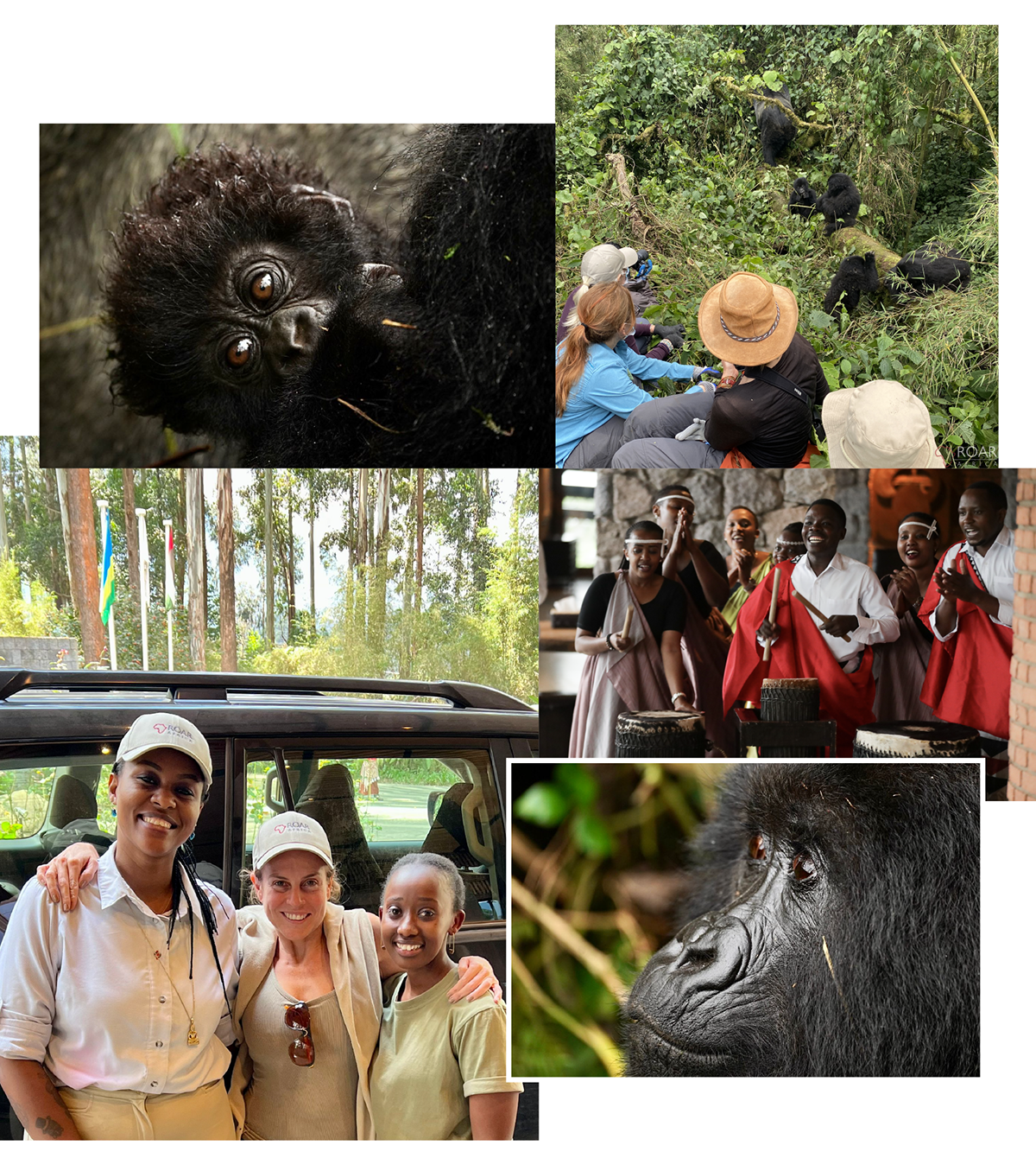 Rwanda's mountain gorillas - Greatest Safari on Earth