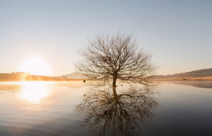 ROAR Luxury Destinations Press 40