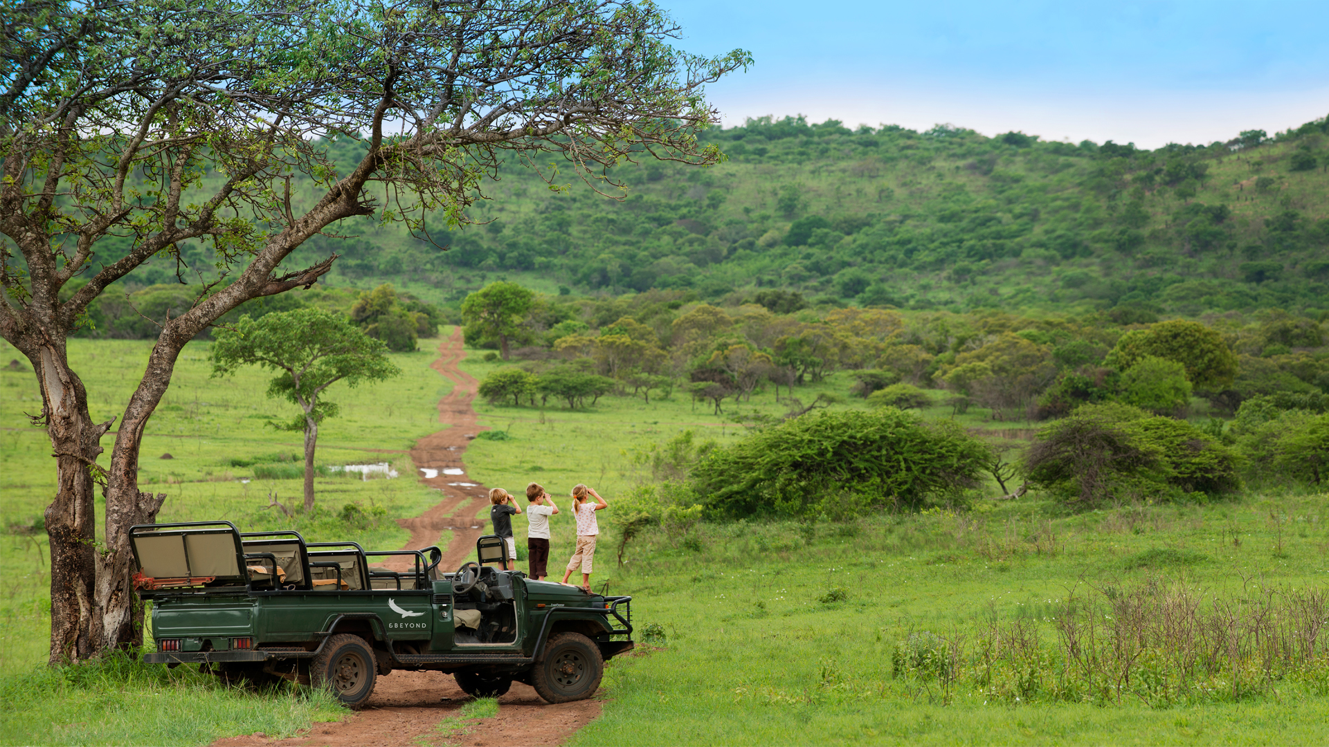 Open Green Field on Safari with Kids Standing on Safari Truck Looking Out to Field