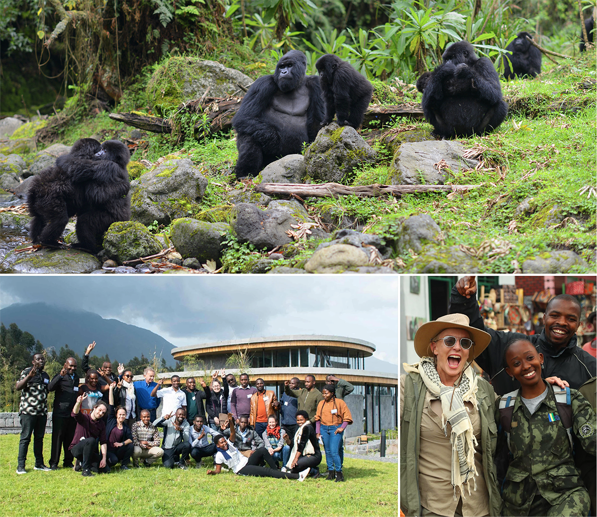 Dian Fossey Center