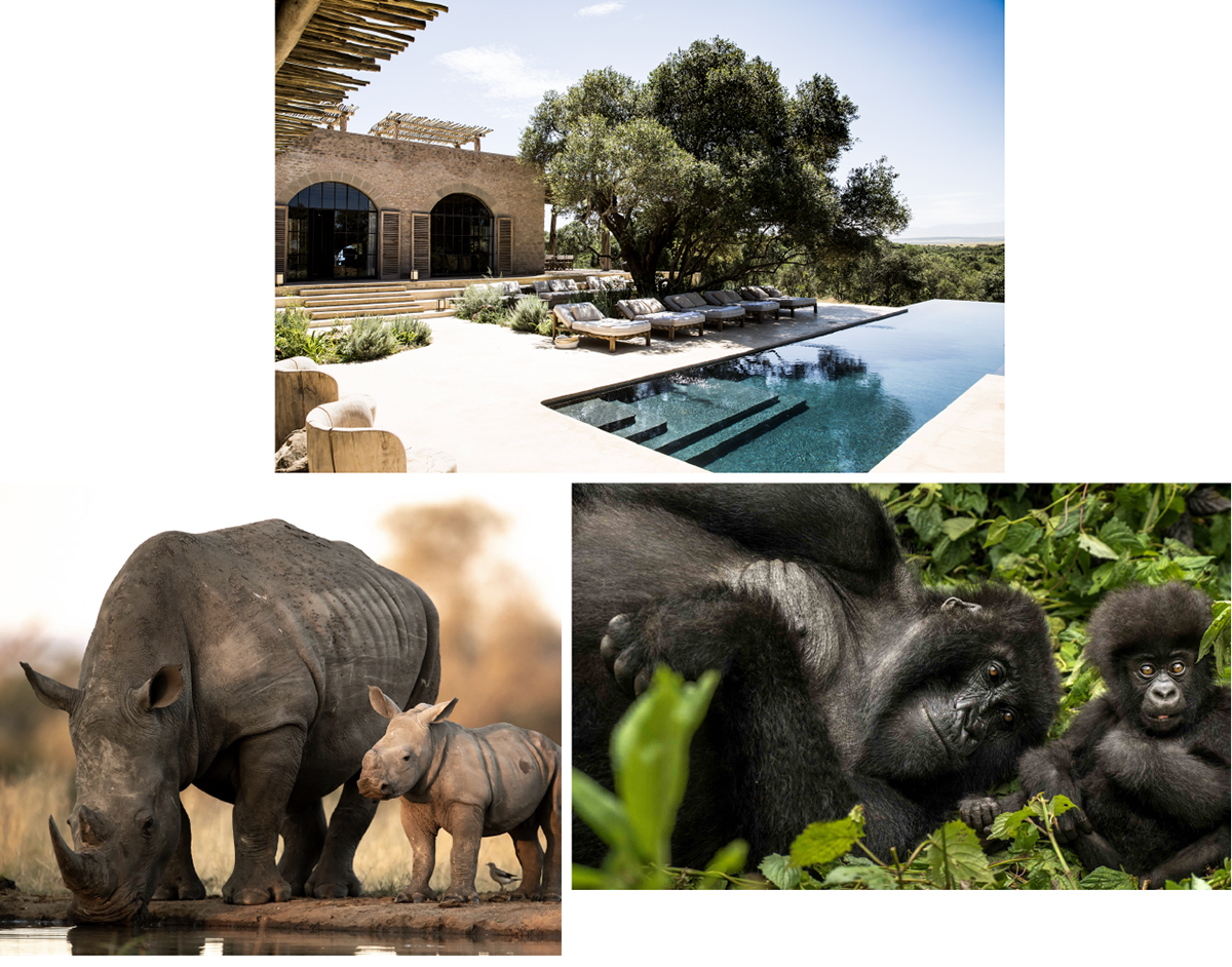 Animals in East Africa