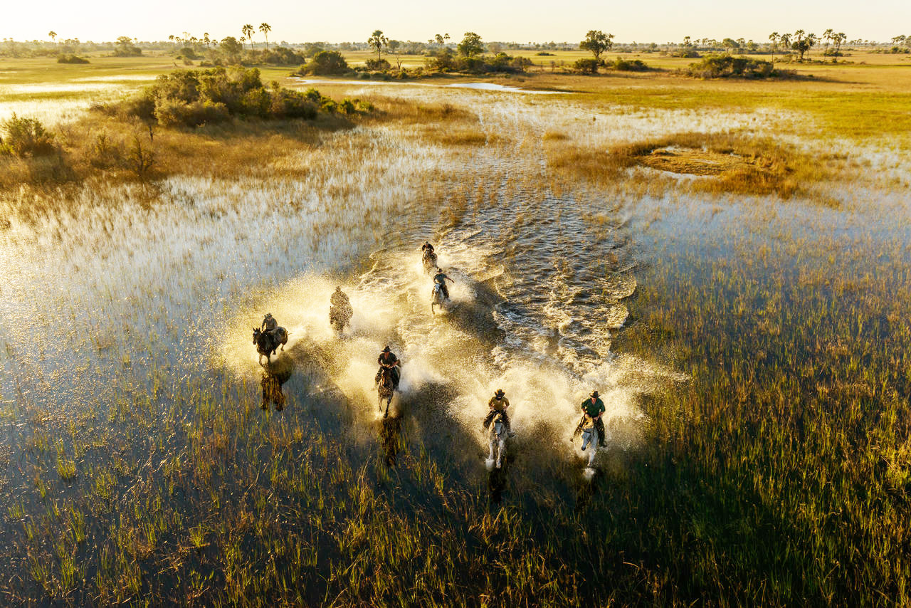 Bird's Eye View of Group of People on Horseback Riding Through Marsh Wetlands - ROAR AFRICA