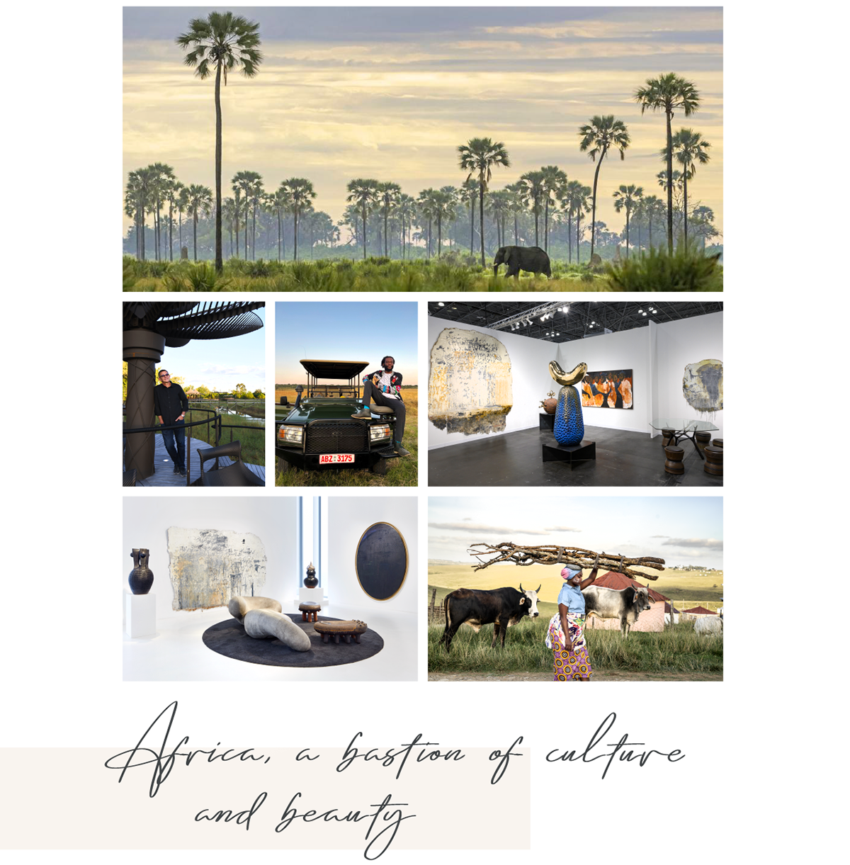 Southern Guild - Africa