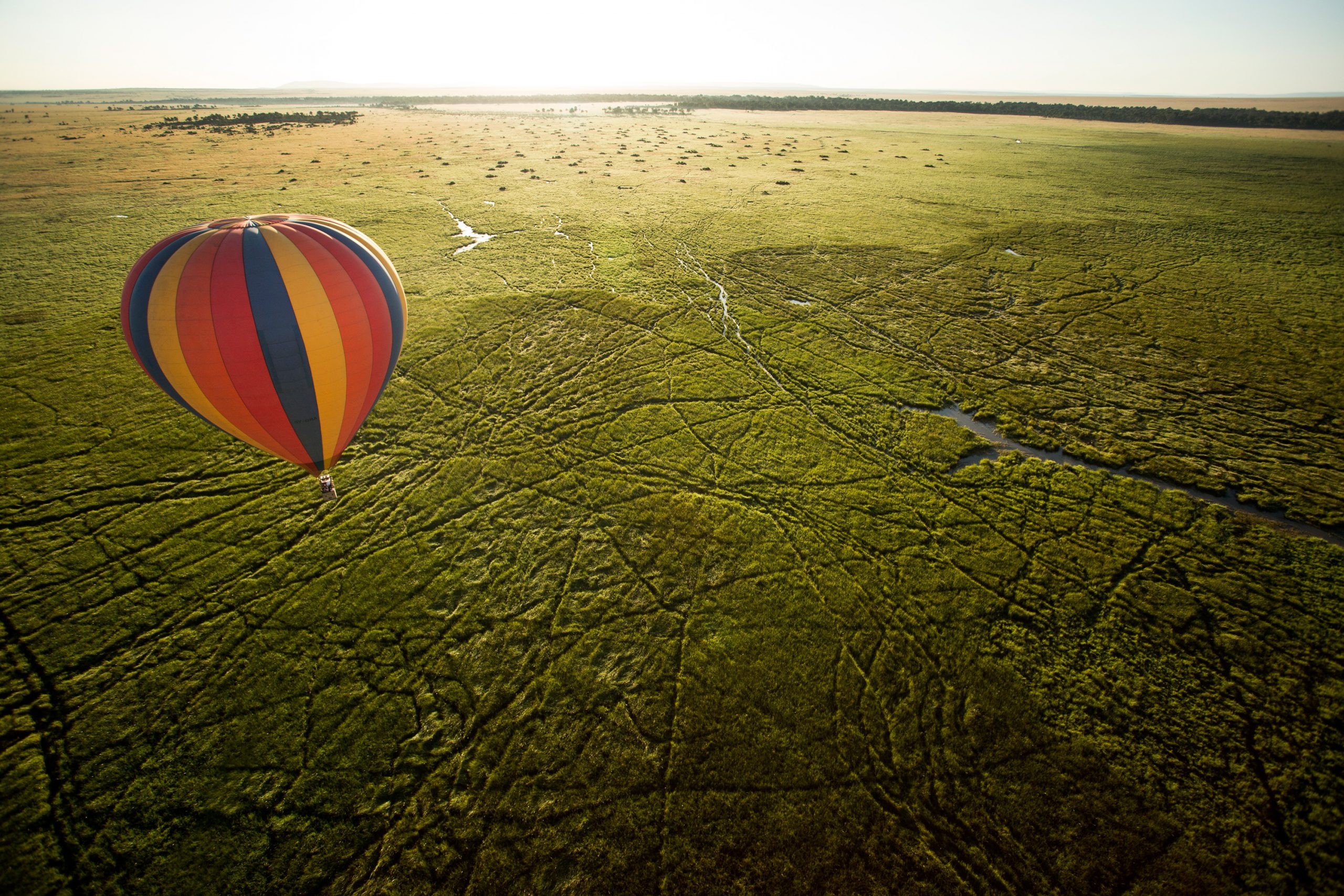 Hot air balloon safari