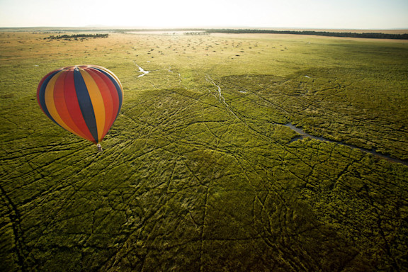 Hot air balloon safari