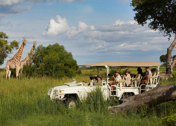 Xigera Wildlife Game Drive with Giraffe Botswana