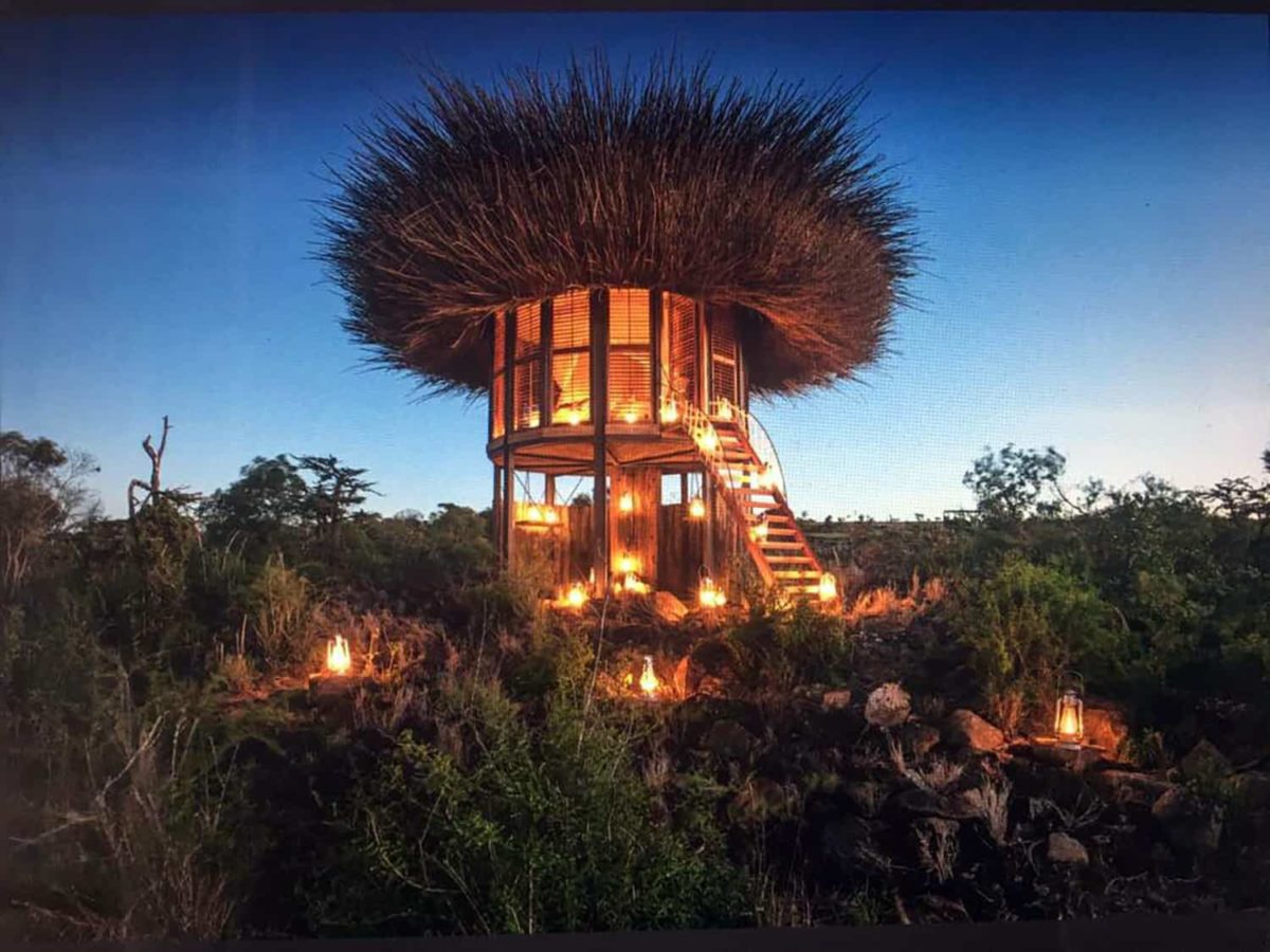 nest1-e1506723919255