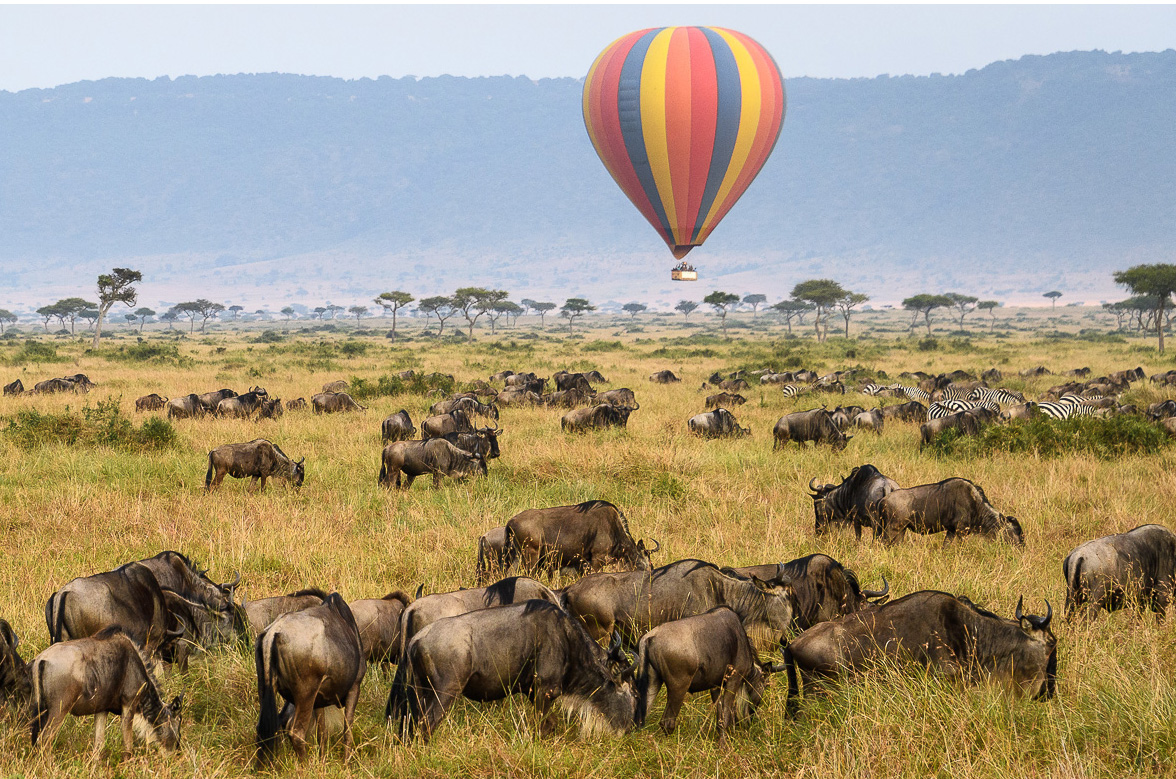 Hot air balloon over Tarangire National Park in Tanzania