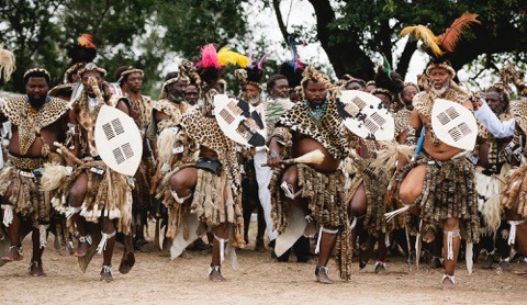 Credit-To-Skin-a-Cat