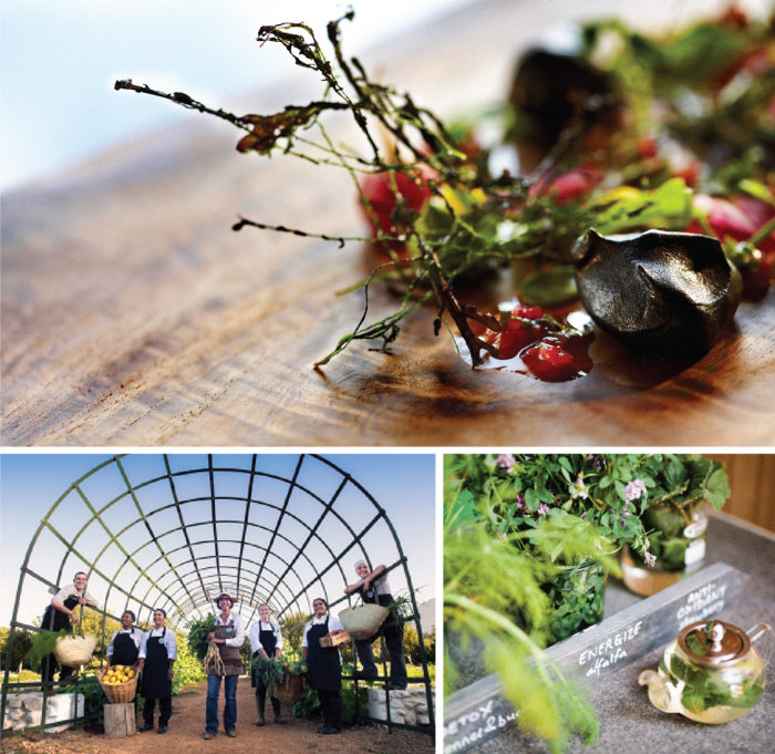 RA RainbowNation IMAGES-03-1-700x681