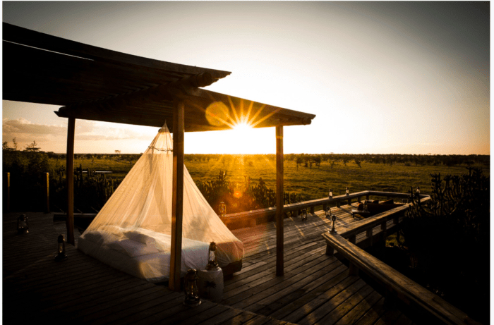 ROAR AFRICA Luxury Destinations Press Luxury Daily