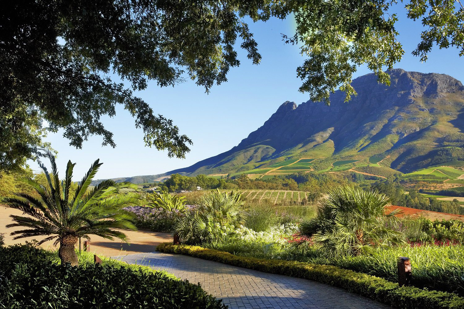 Wine Estates in Cape Winelands, Stellenbosch