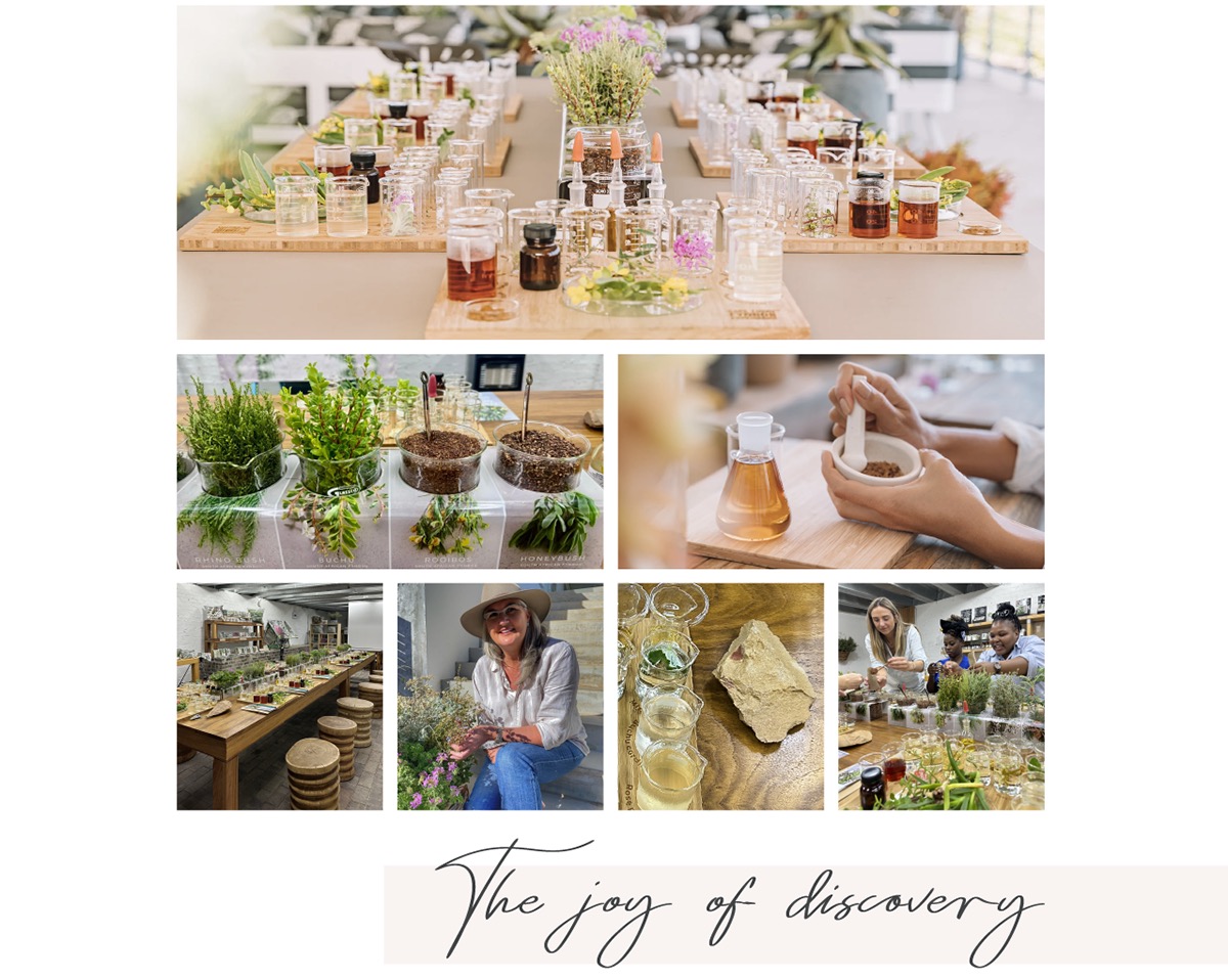 The Cape Town fynbos experience