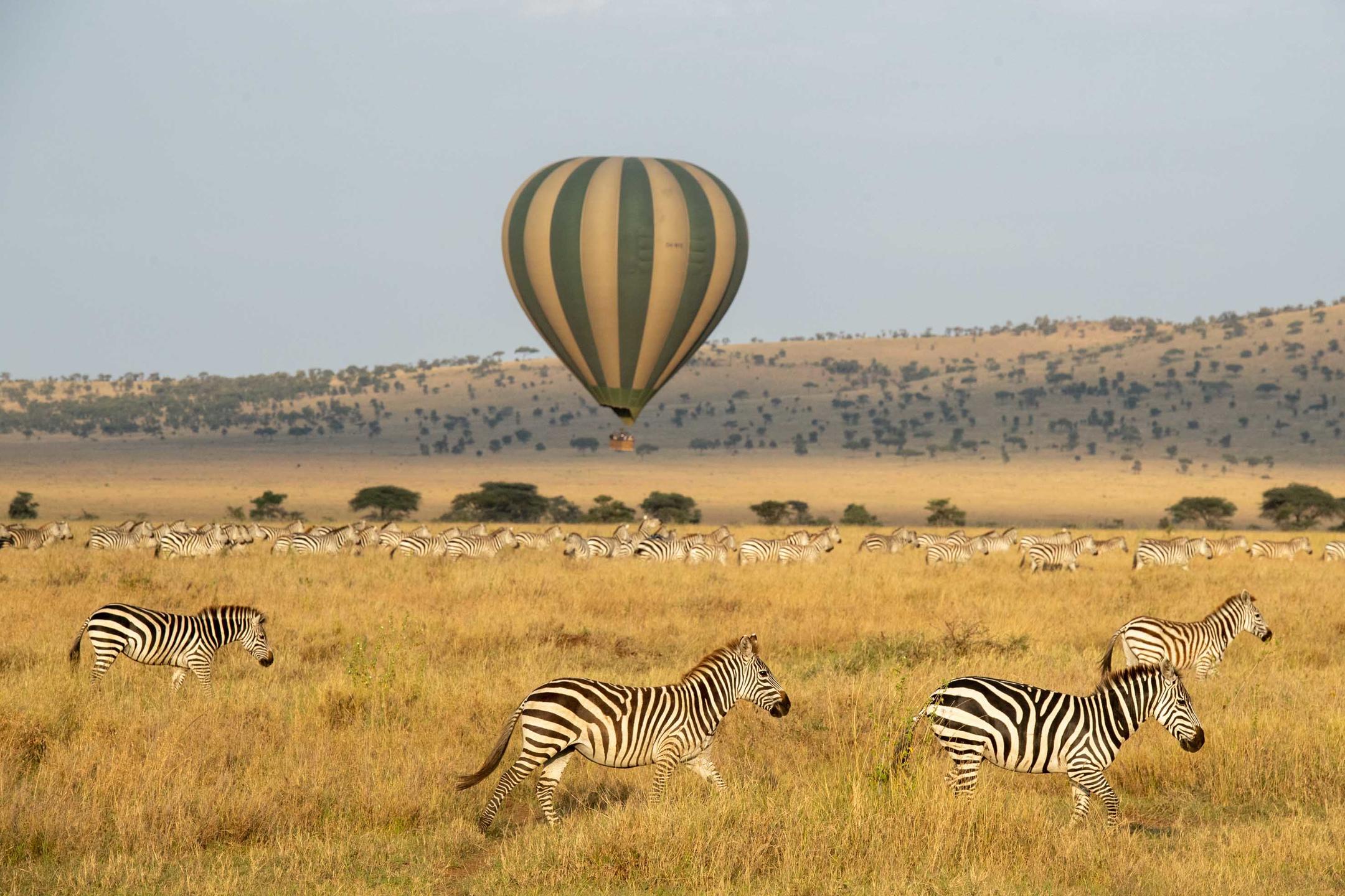 Serengeti safaris