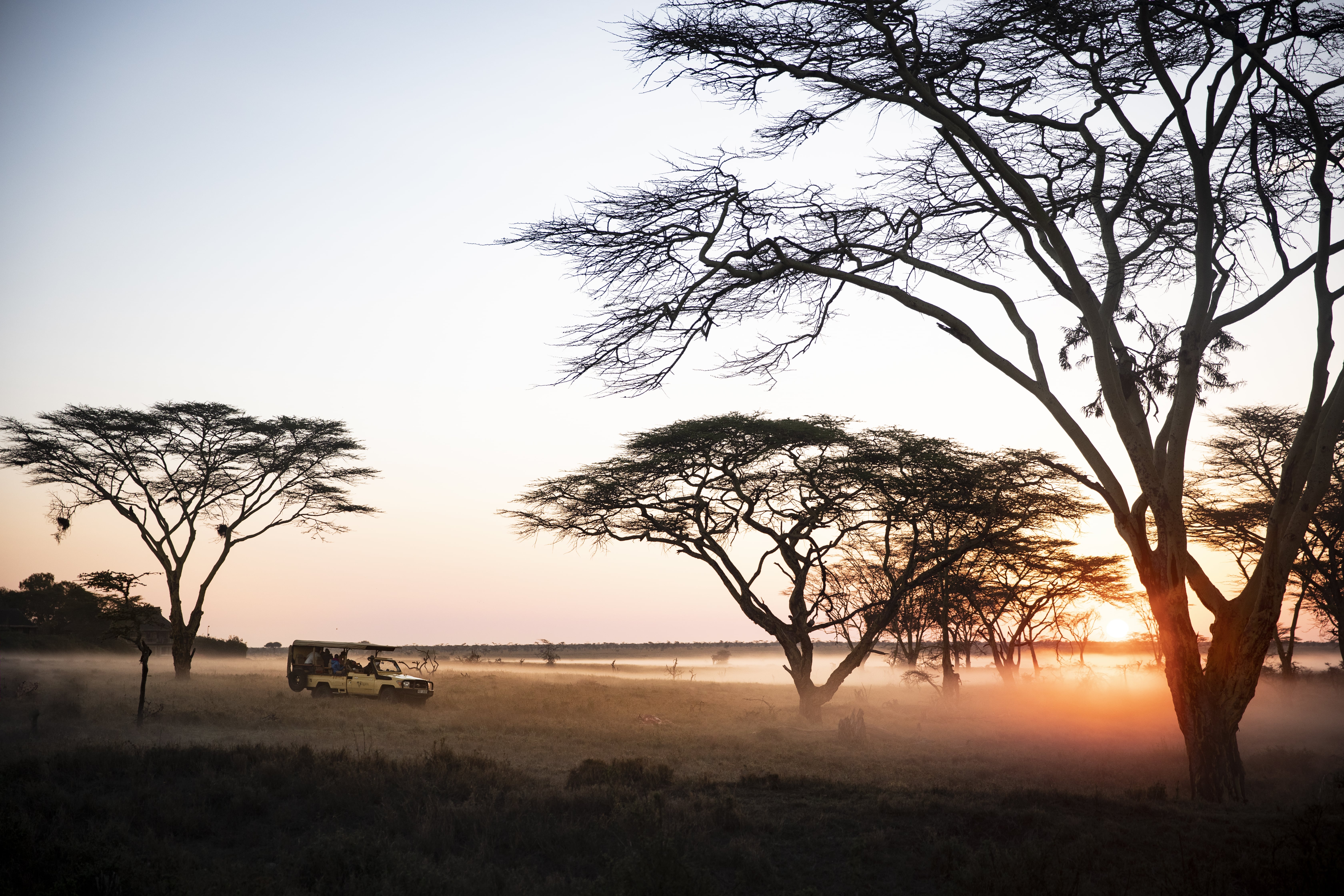 Segera Retreat Safari&Wildlife Game Drive Laikipai County Kenya VisualLanguage (1)