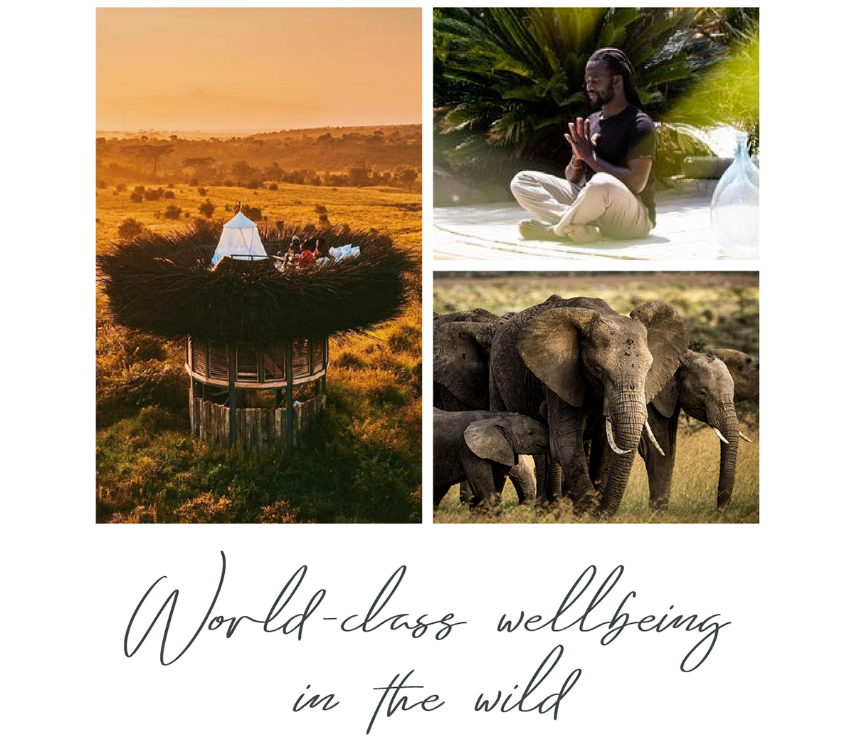 World-class wellbeing in the wild