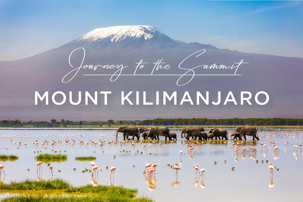 Journey to the Summit