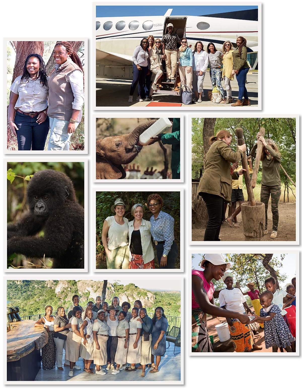 Gift of givers collage