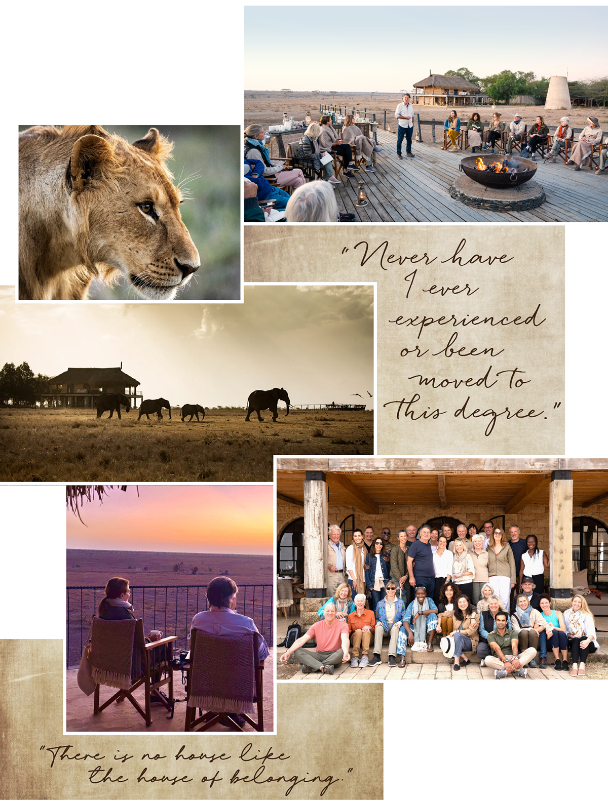 David Whyte 2023 Collage