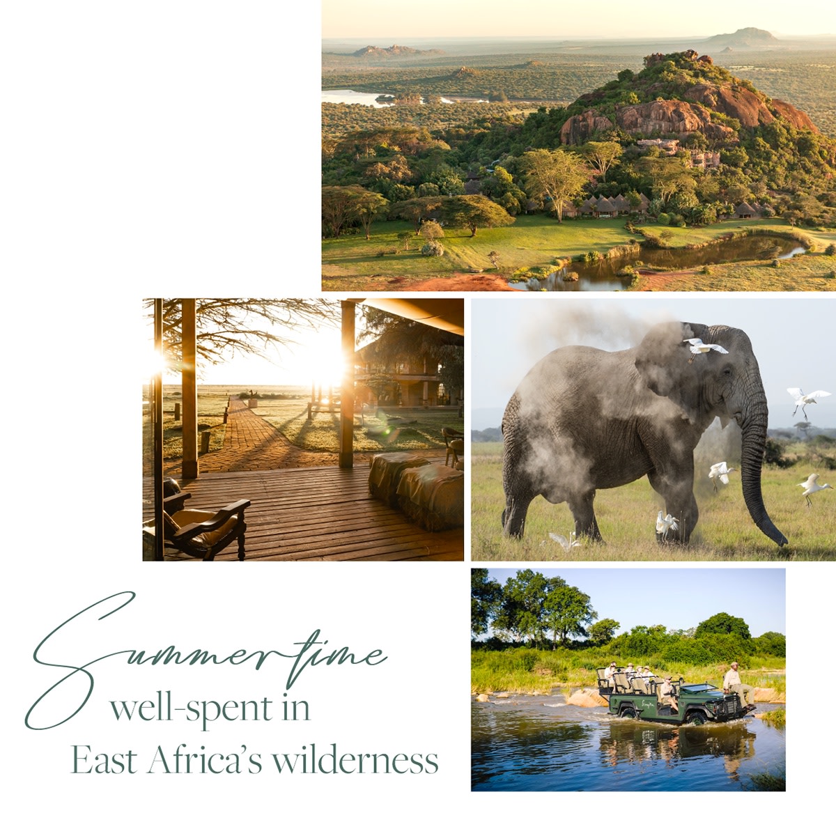 Summertime spent in East-Africa's wilderness