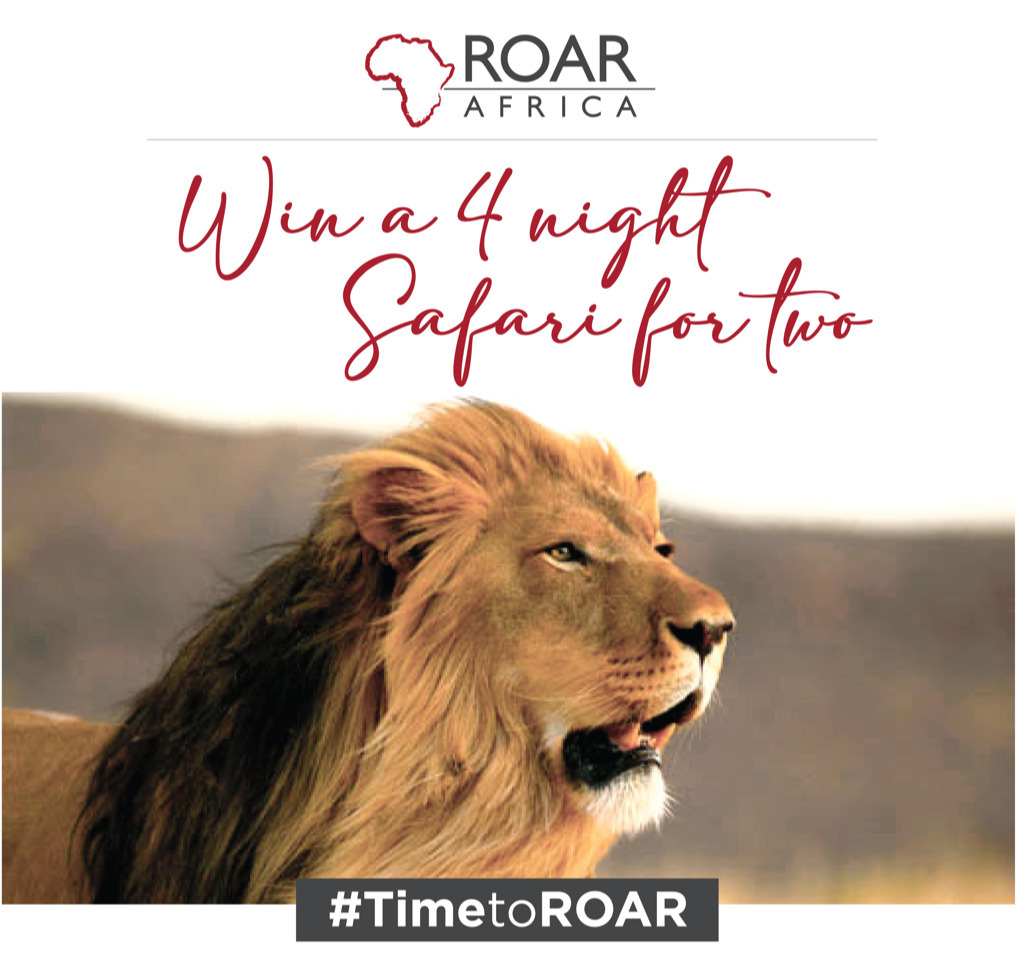 Time-to-ROAR-Crop
