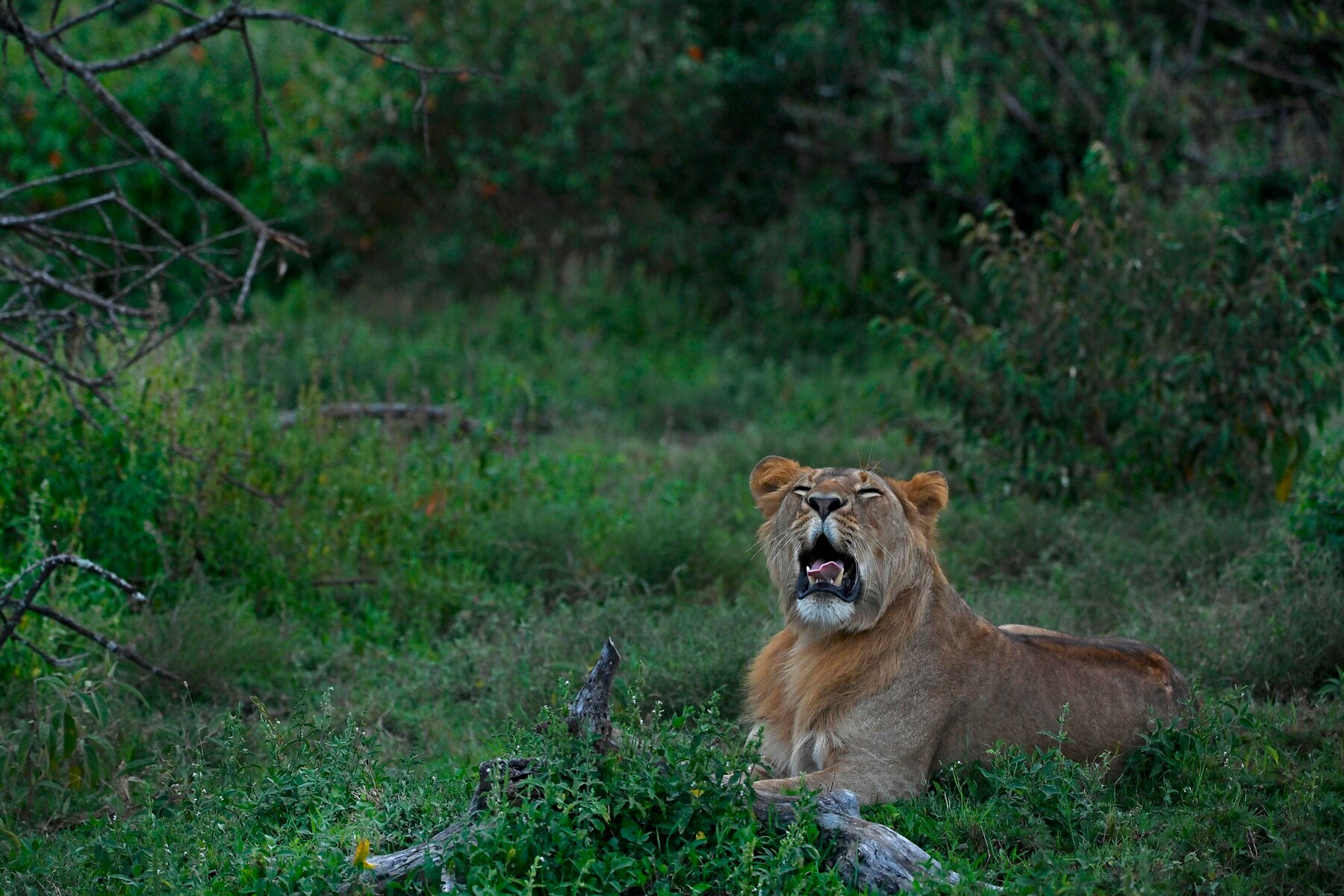 travel-leisure-article-december