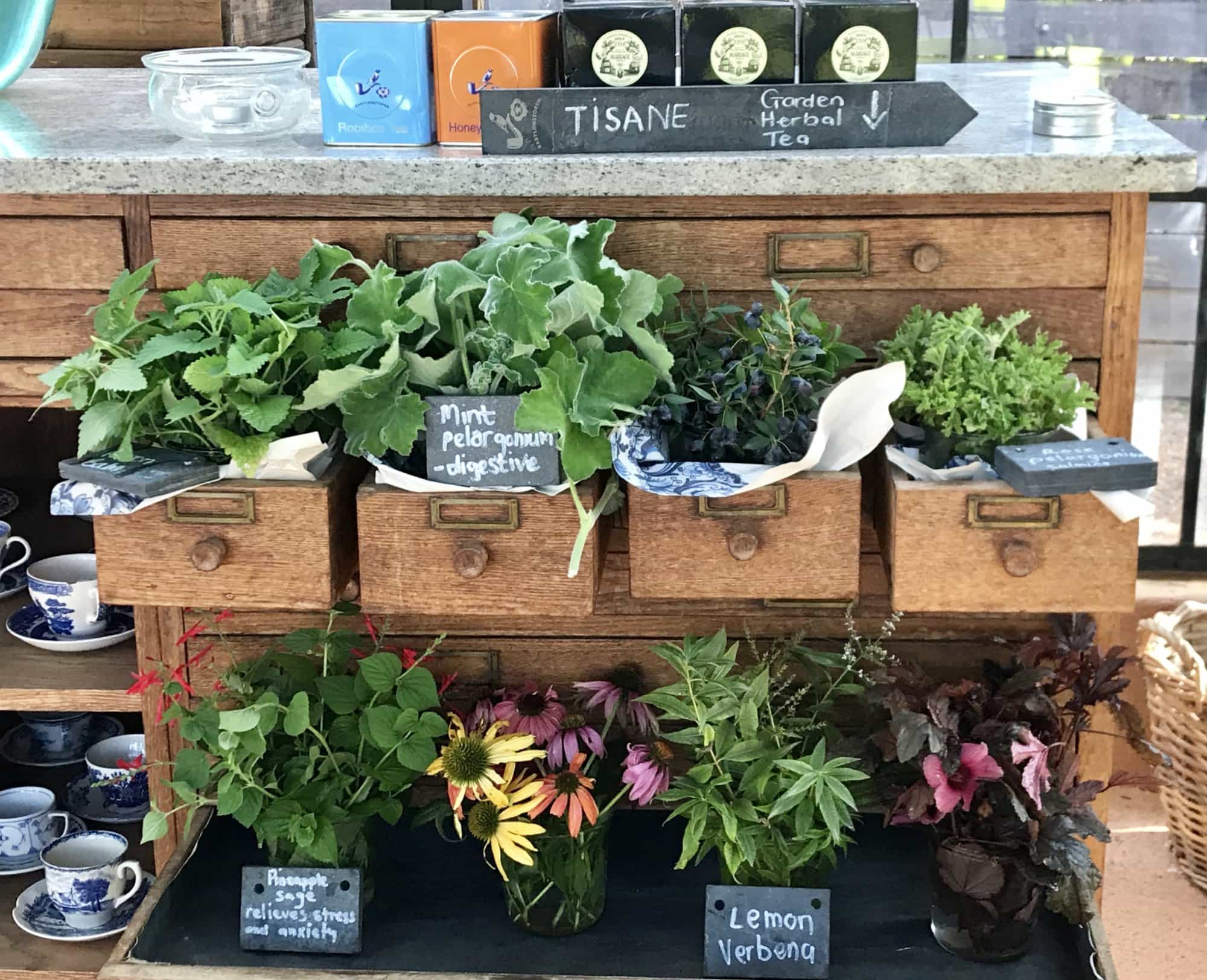 FullSizeRender-006-2017-e1497387769512