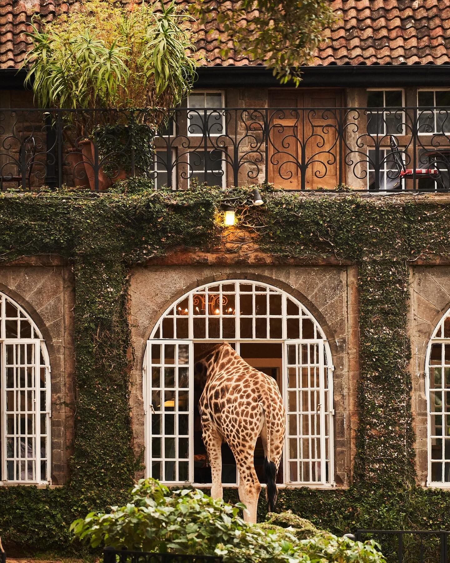 Giraffe Manor, Kenya