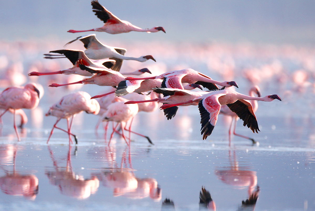 A world without borders