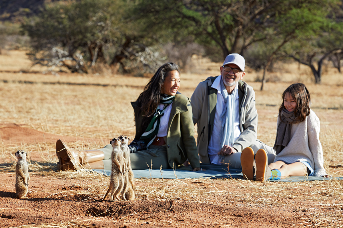 Mom, Dad and Daughter on Family Safari Sitting on Blanket next to Family of Meerkats
