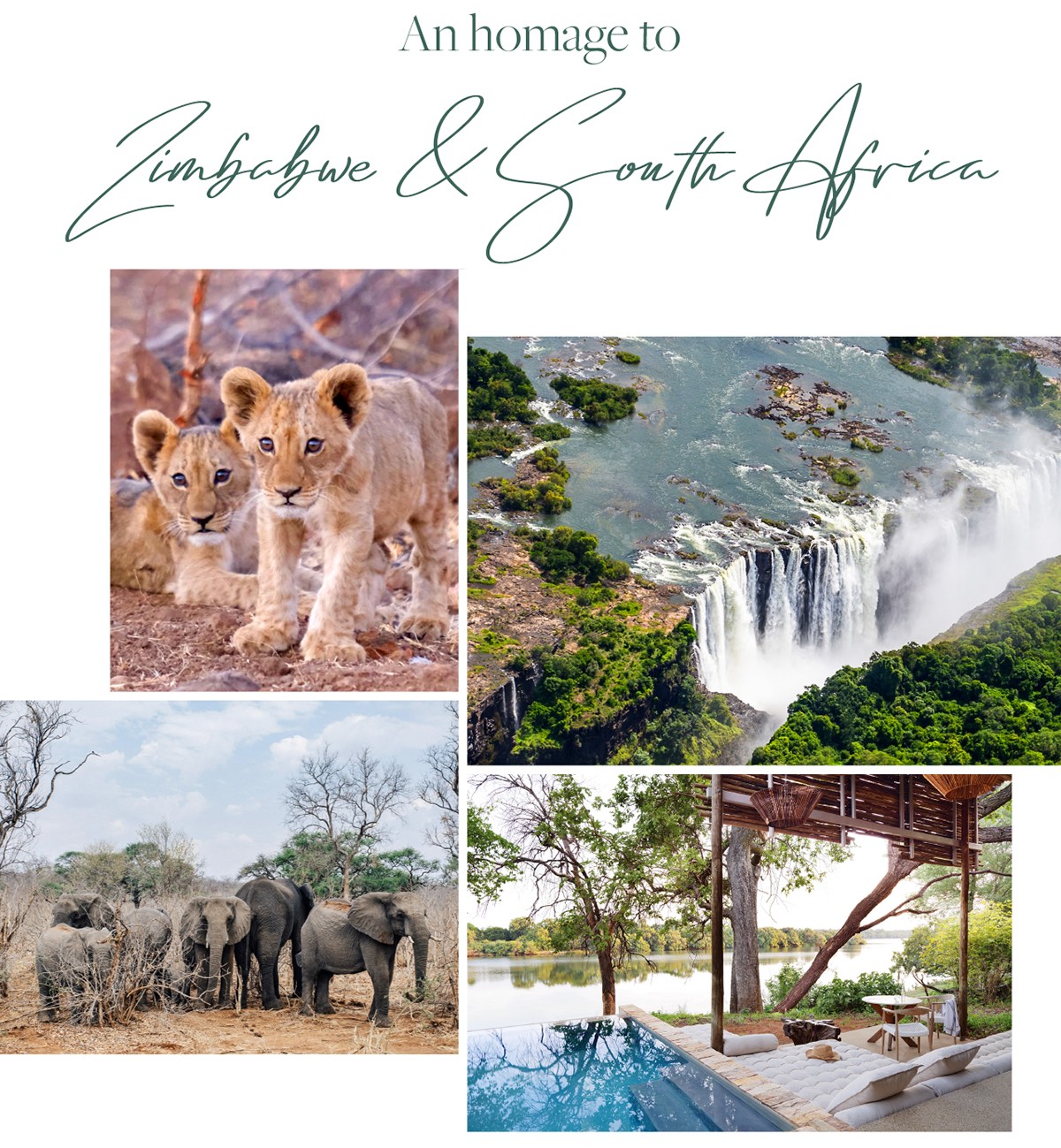 A homage to Zimbabwe and South Africa