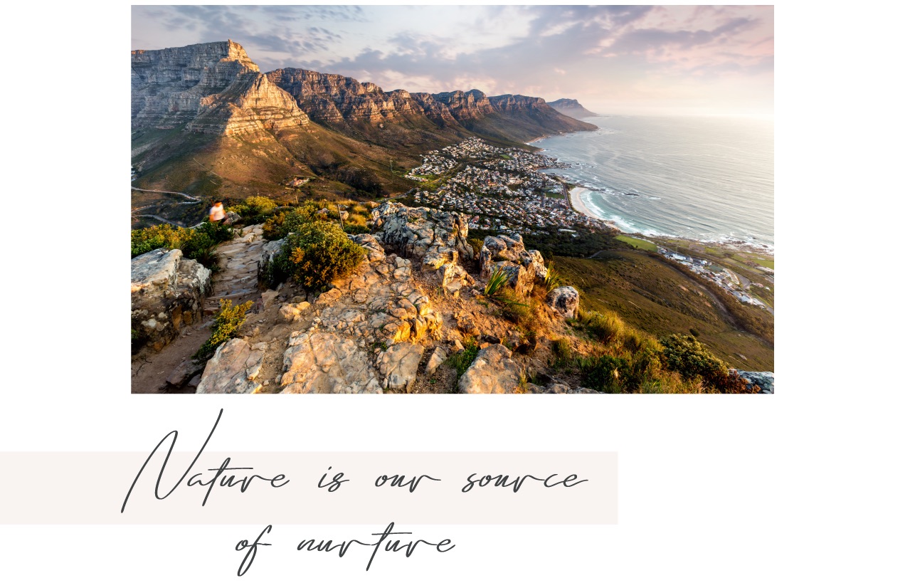 Table Mountain national park