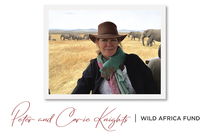 wild-africa-fund