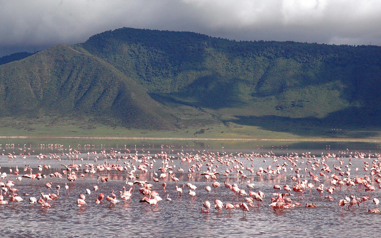 Ngorongoro Crater Safari