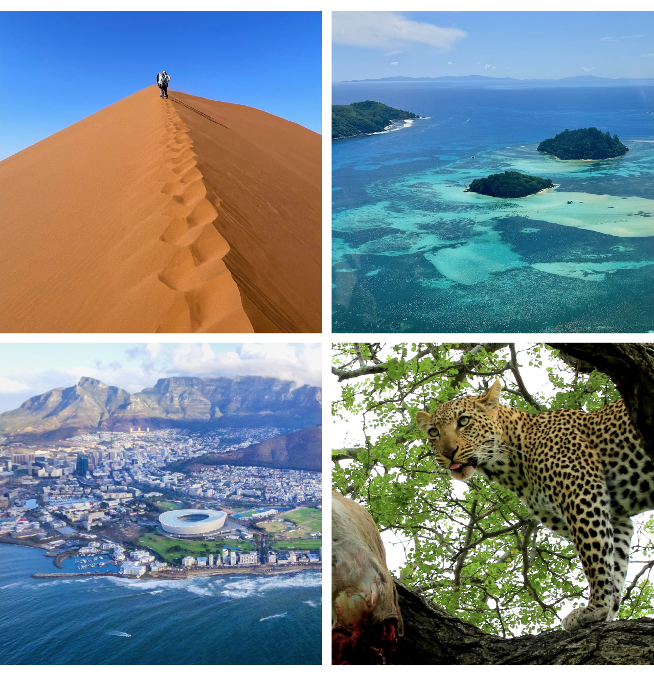 Sand, Sea, City & Safari - a dream-lilke journey of contrasts