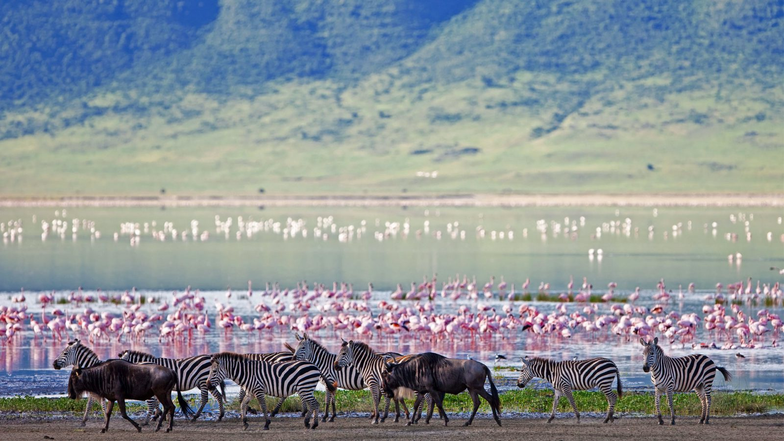 Ngorongoro Crater Safari