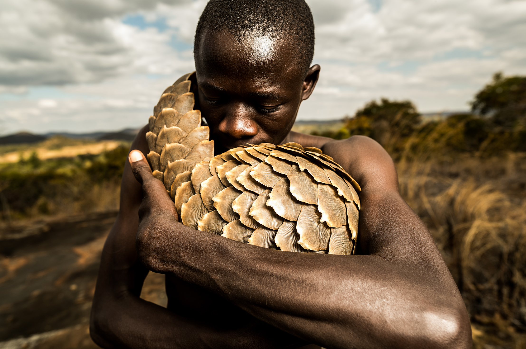 pangolin-roar-africa