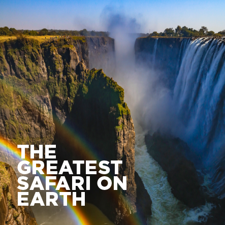 The Greatest Safari on Earth playlist