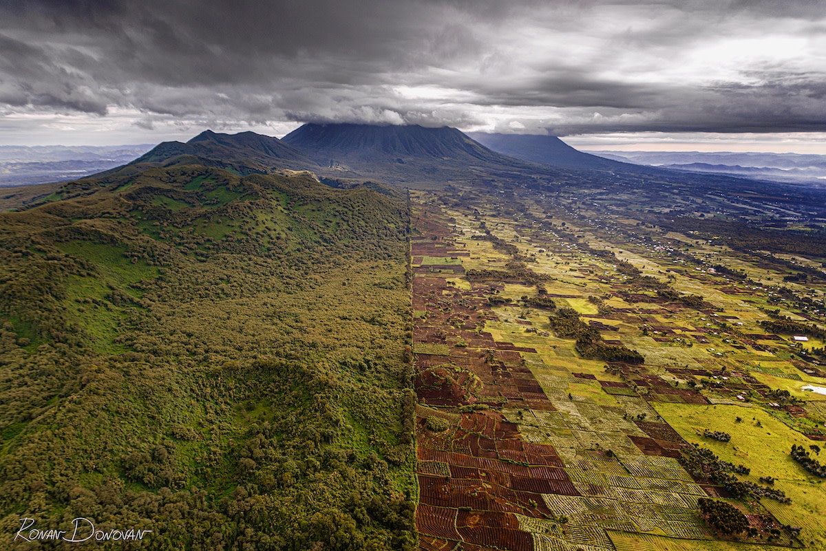 Rwanda - villages into forests